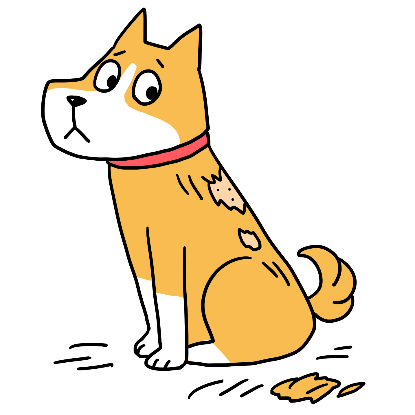 犬の脱毛症